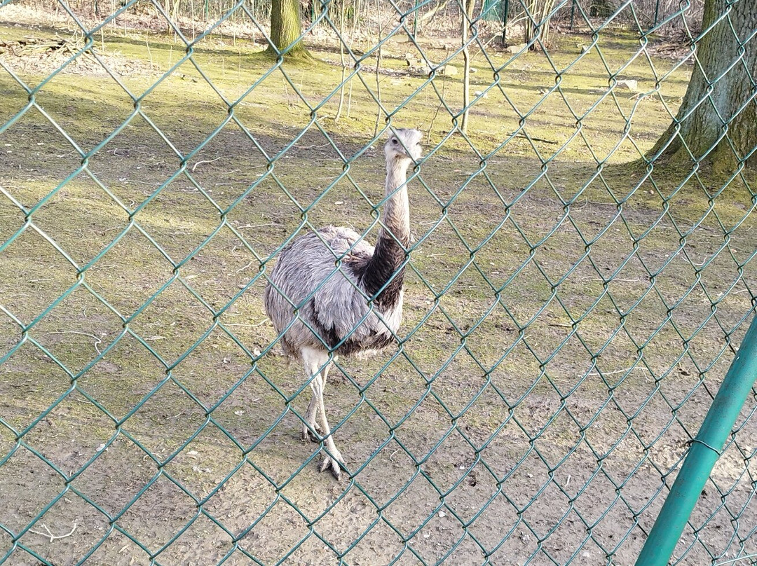 Amerika Tierpark景点图片