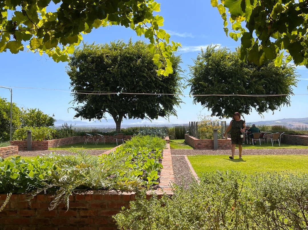 Longridge Wine Estate-西索美塞必去景点