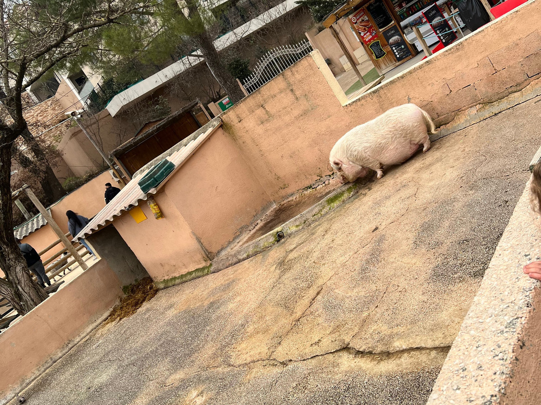 Ferme Animaliere d'Auriol景点图片