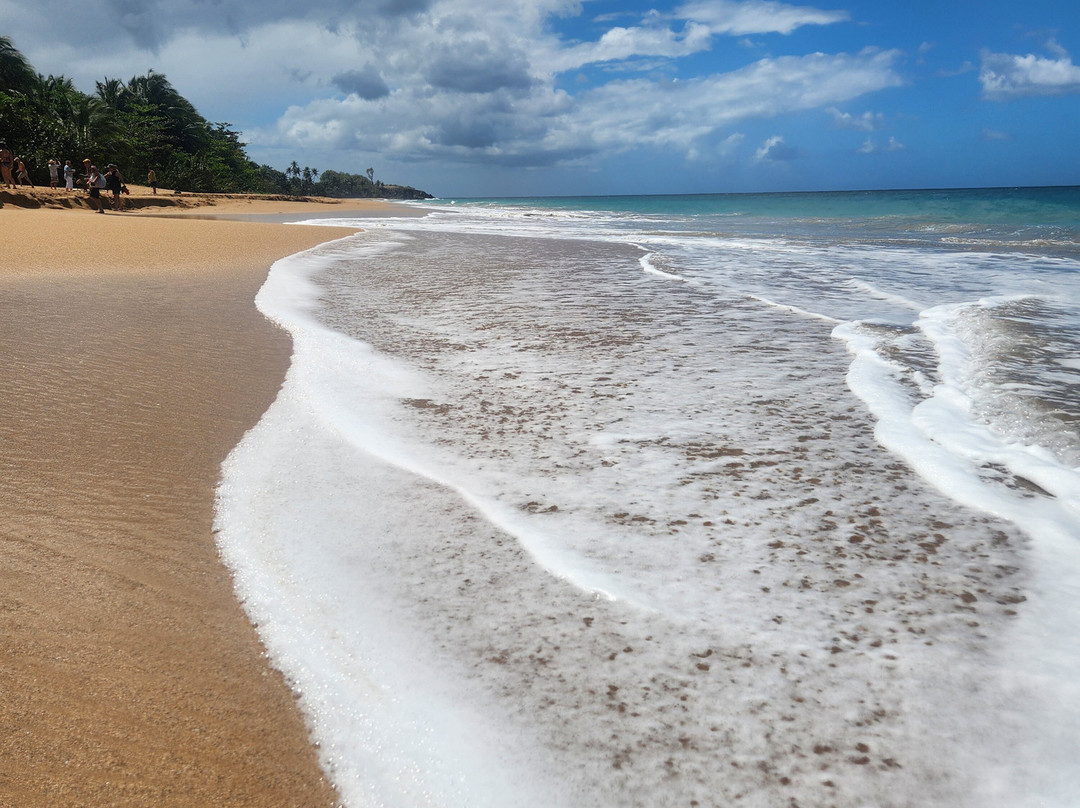 Plage de la Perle-Rifflet必去景点