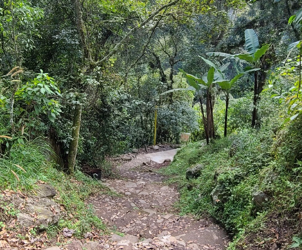 Cascada de Texolo景点图片
