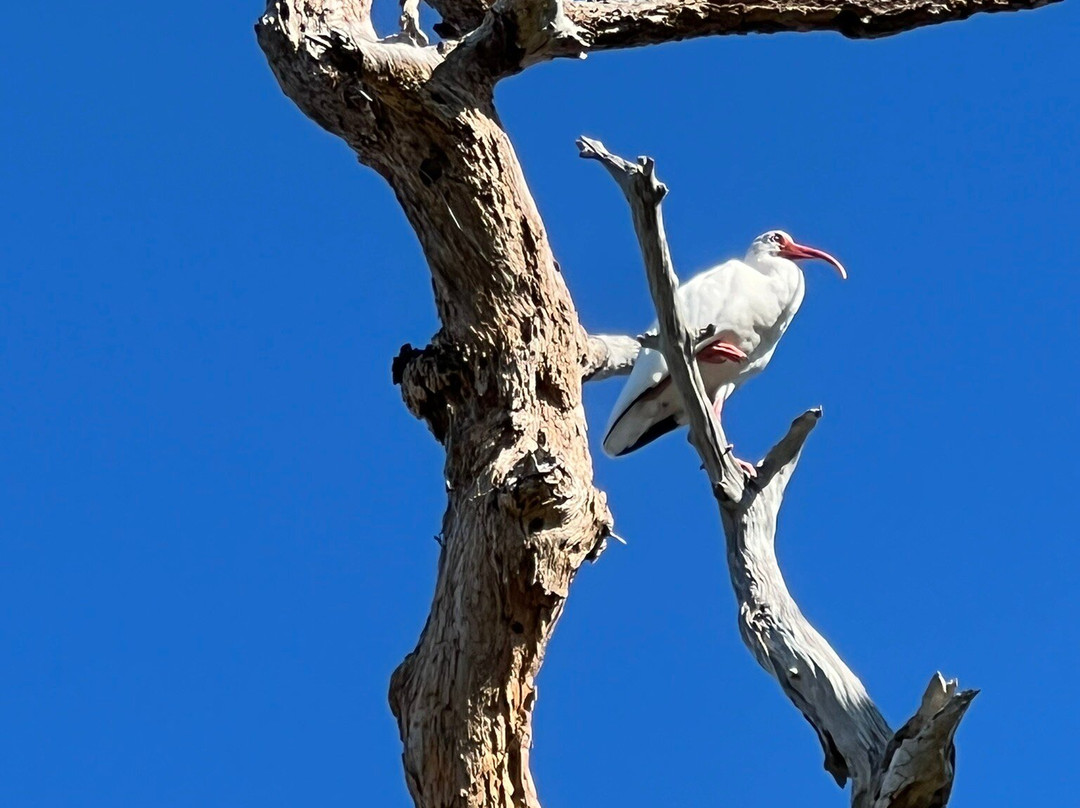 Perico Preserve-布雷登顿必去景点