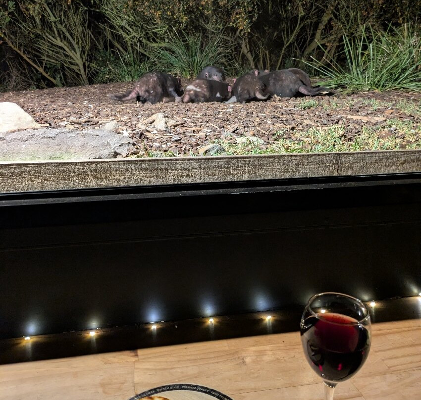 夜间魔鬼观赏景点图片