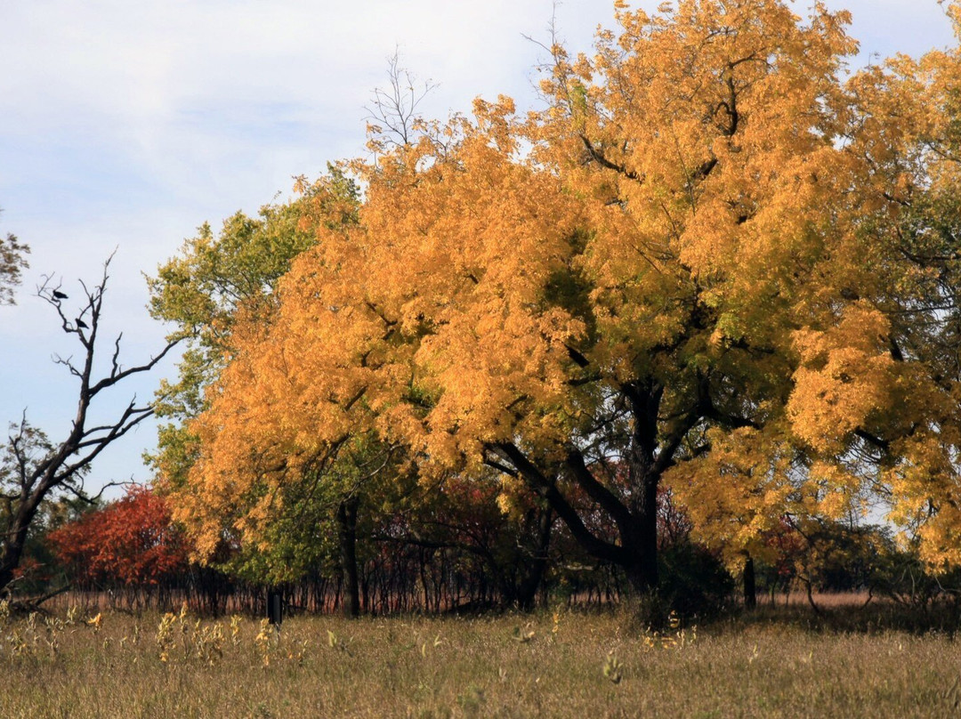 Lake Shetek State Park-Currie必去景点