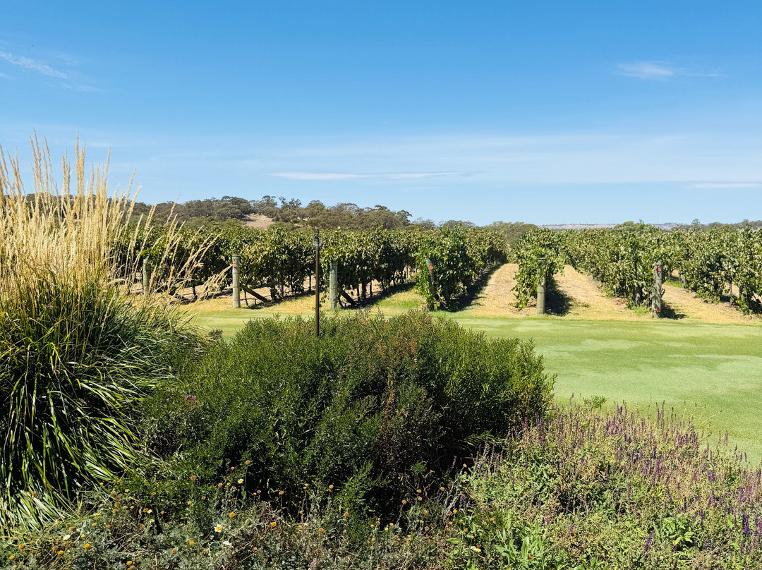 巴罗莎西拉乡村酒店主图