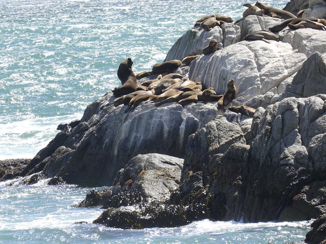 Avenida Peru-比尼亚德尔马必去景点