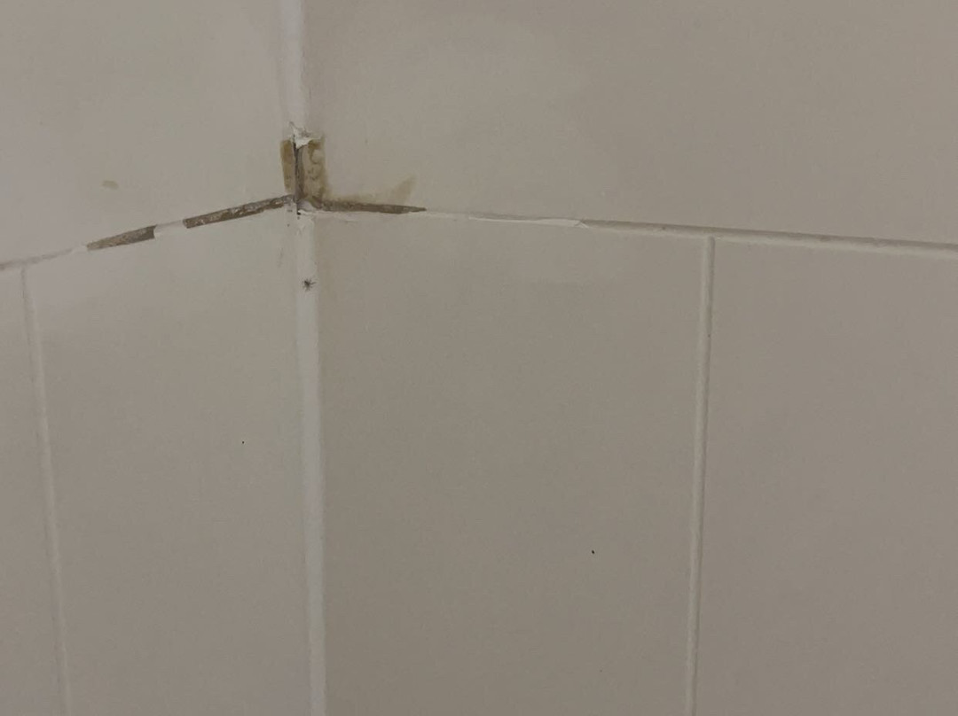 Comfort Inn & Suites主图