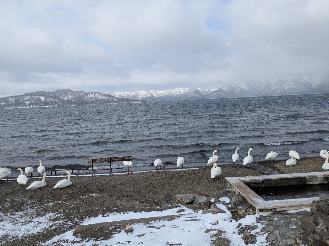屈斜路湖-弟子屈町必去景点