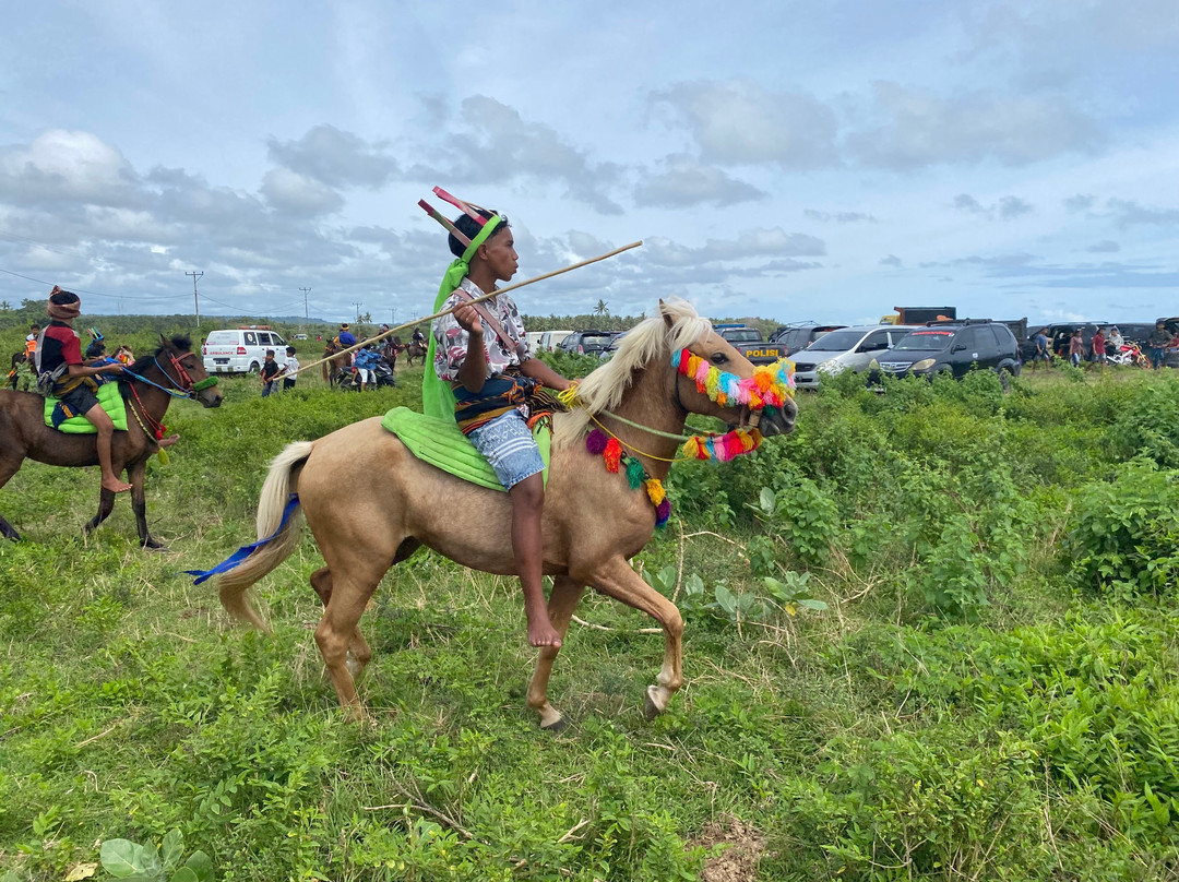 Pasola Lamboya Field景点图片