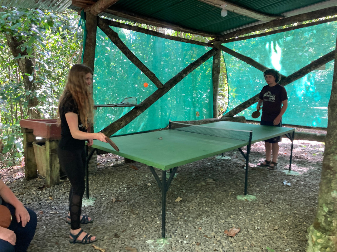 Tree Houses Hotel Costa Rica主图