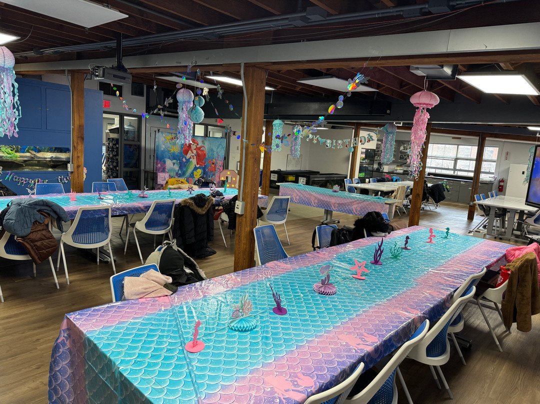 The Maritime Aquarium at Norwalk-诺沃克必去景点