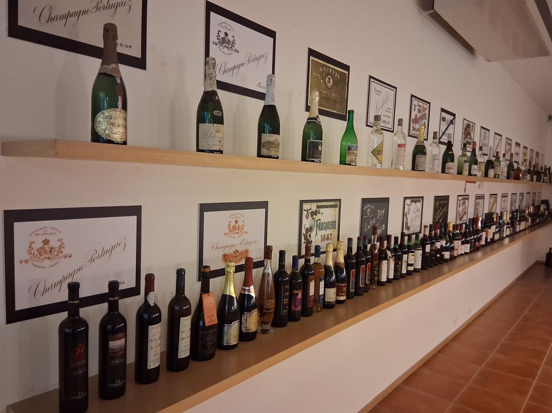 Museu Do Vinho Da Bairrada景点图片