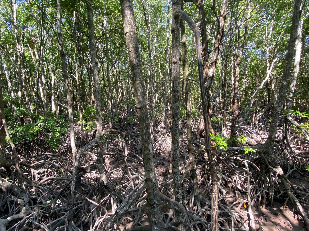 SAMUI INSOLITE-拉迈海滩必去景点