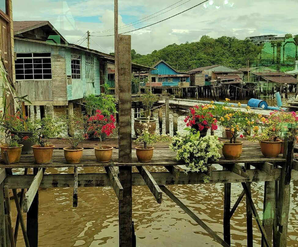 Brunei River景点图片