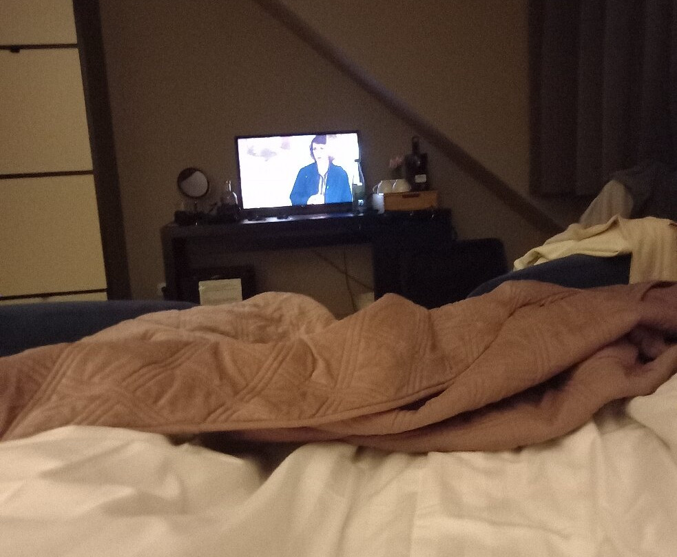 Maurice Hotel主图