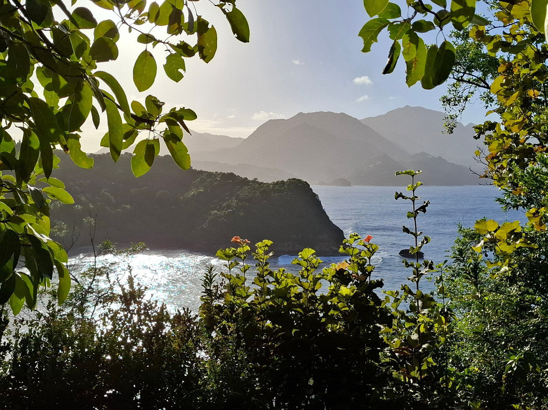 Batibou Beach-Hampstead必去景点