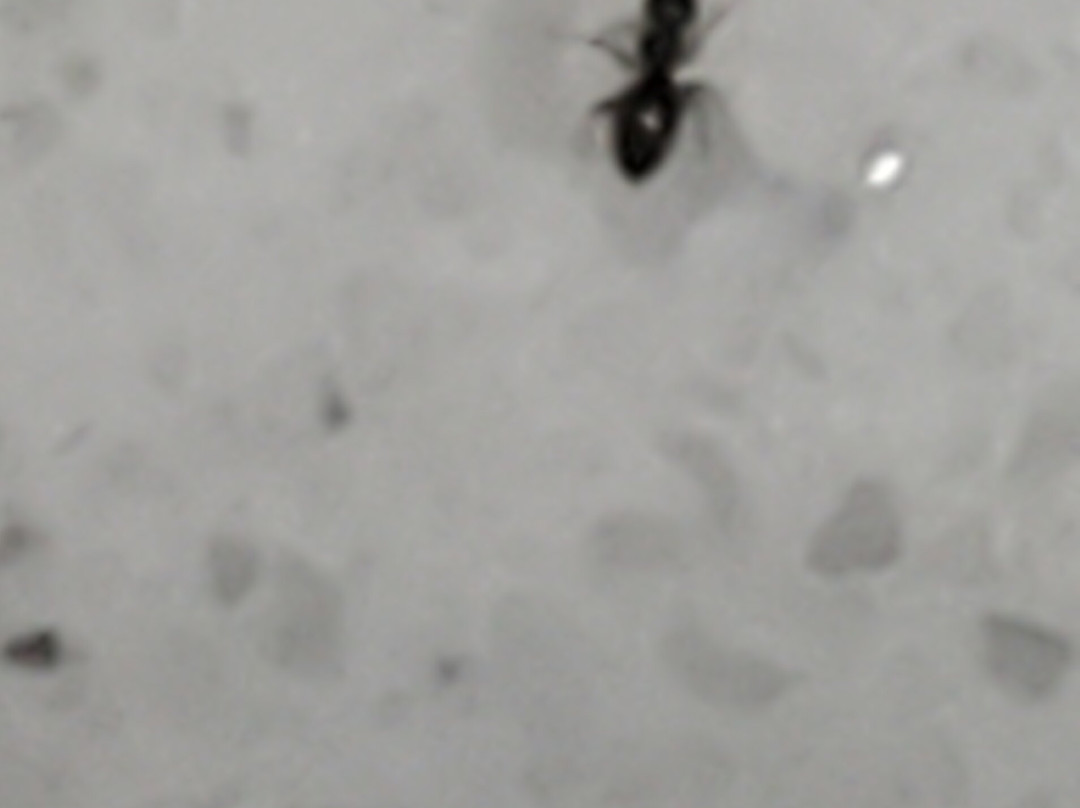 La Quinta Inn & Suites by Wyndham Lake Charles - Westlake主图