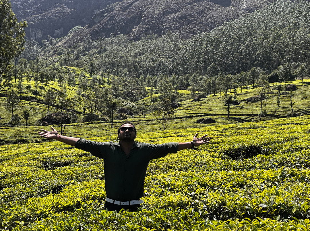 Munnar Taxi Sevice景点图片