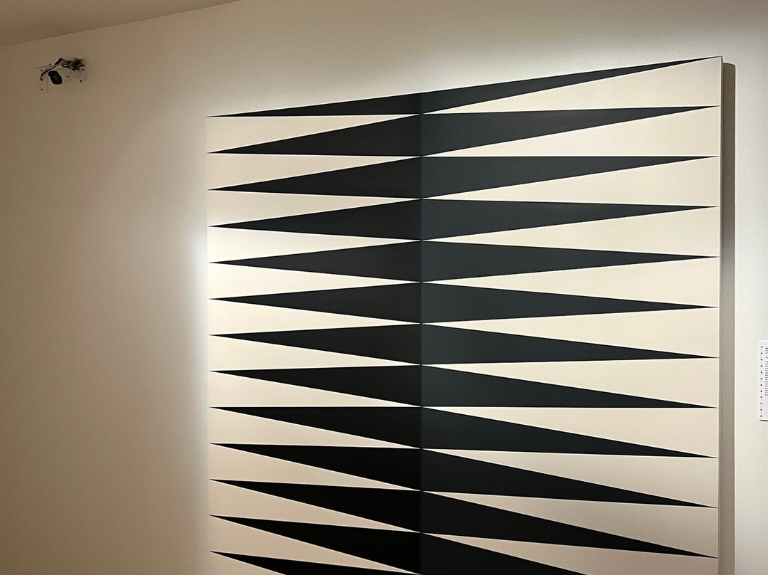 Museum of Contemporary Native Arts景点图片