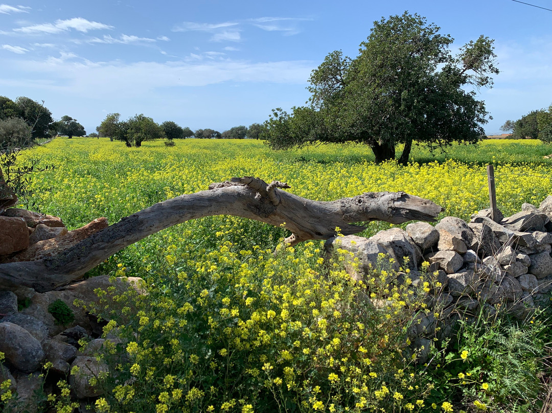Sicily Bike Routes景点图片