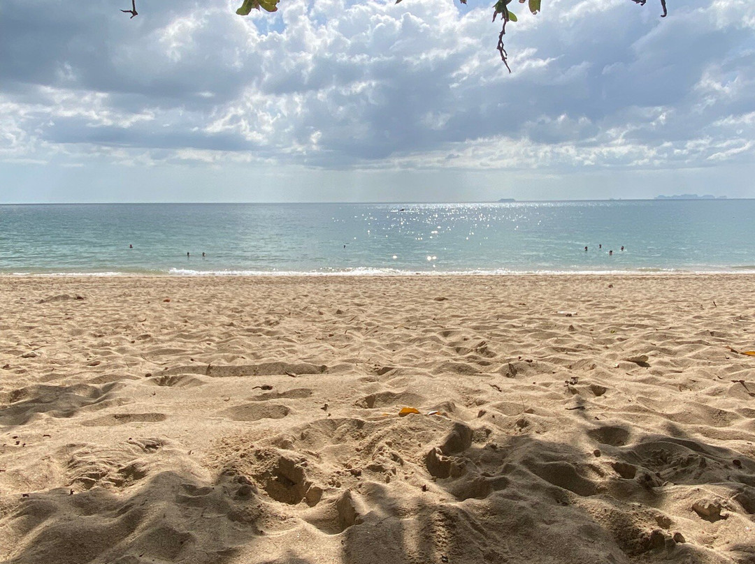 罗莎莎洋渡假村主图