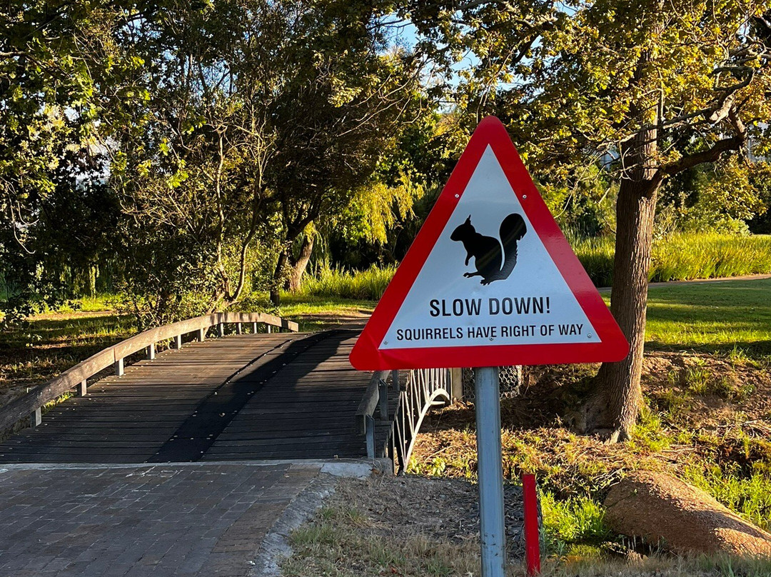 Steenberg Golf Club-Tokai必去景点