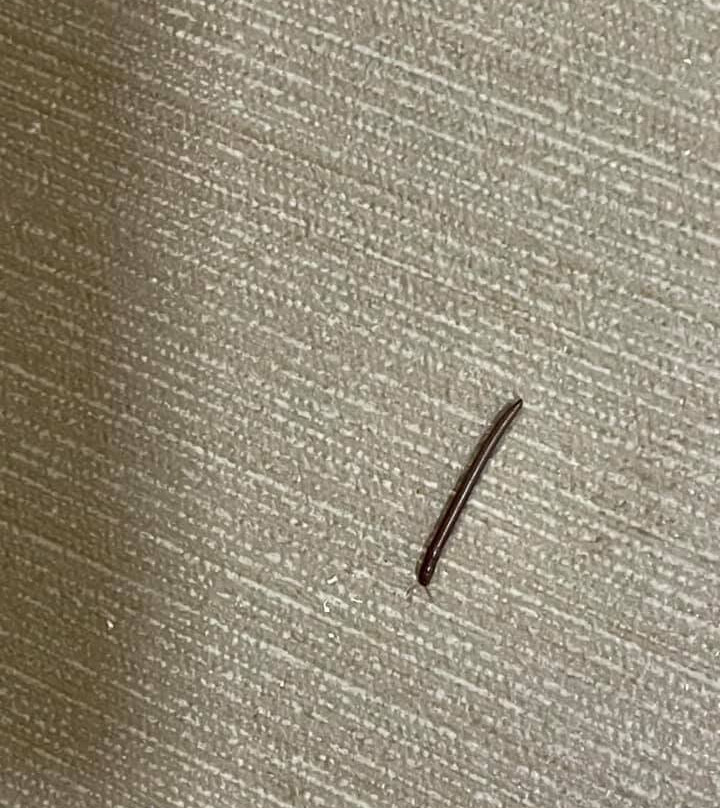 Comfort Inn Ottawa主图