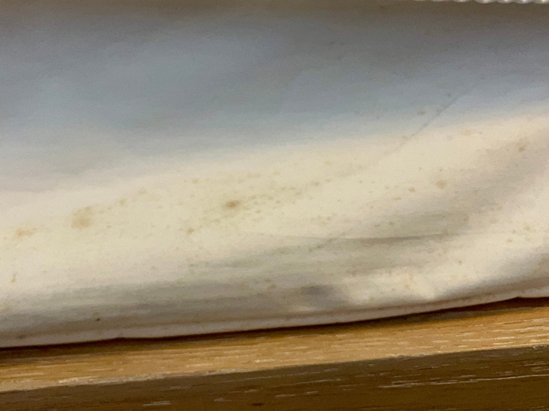 The Tremont House, a Tribute Portfolio Hotel主图