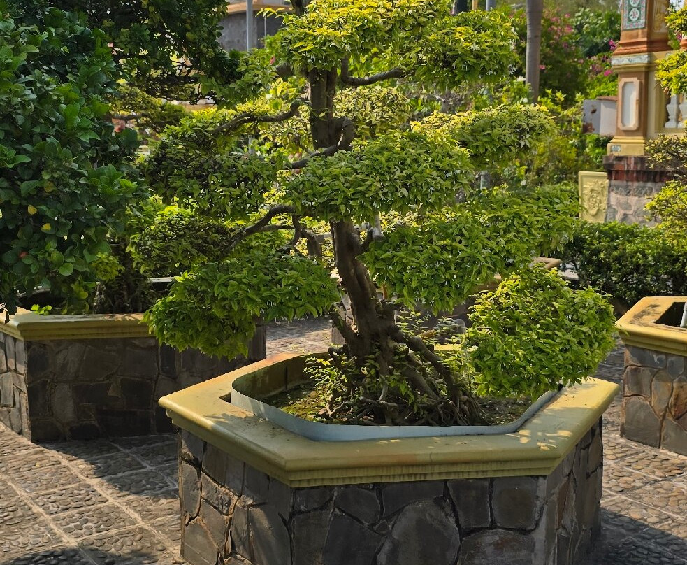 Vinh Trang Temple-美拖市必去景点