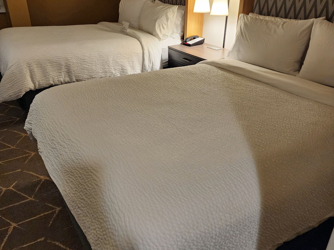 Holiday Inn Boston-dedham Htl & Conf Ctr By IHG主图