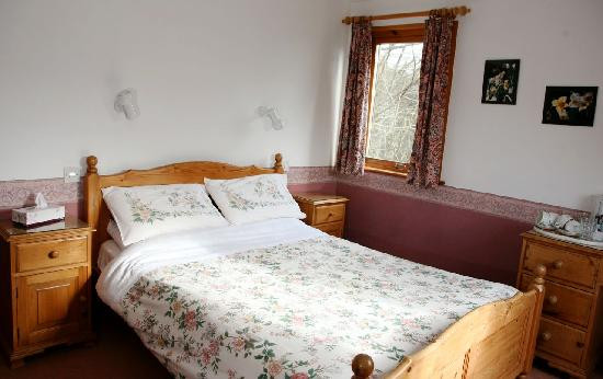 Plas Dolau Country Estate - Farm Guest House主图