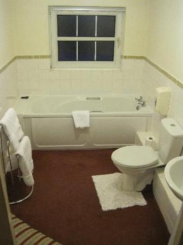 The White Swan-浴室