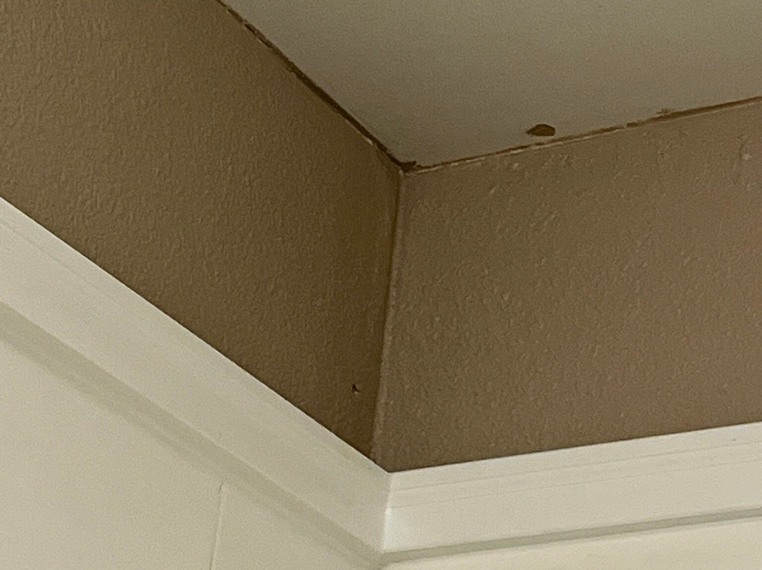 Holiday Inn Express Metropolis by IHG主图