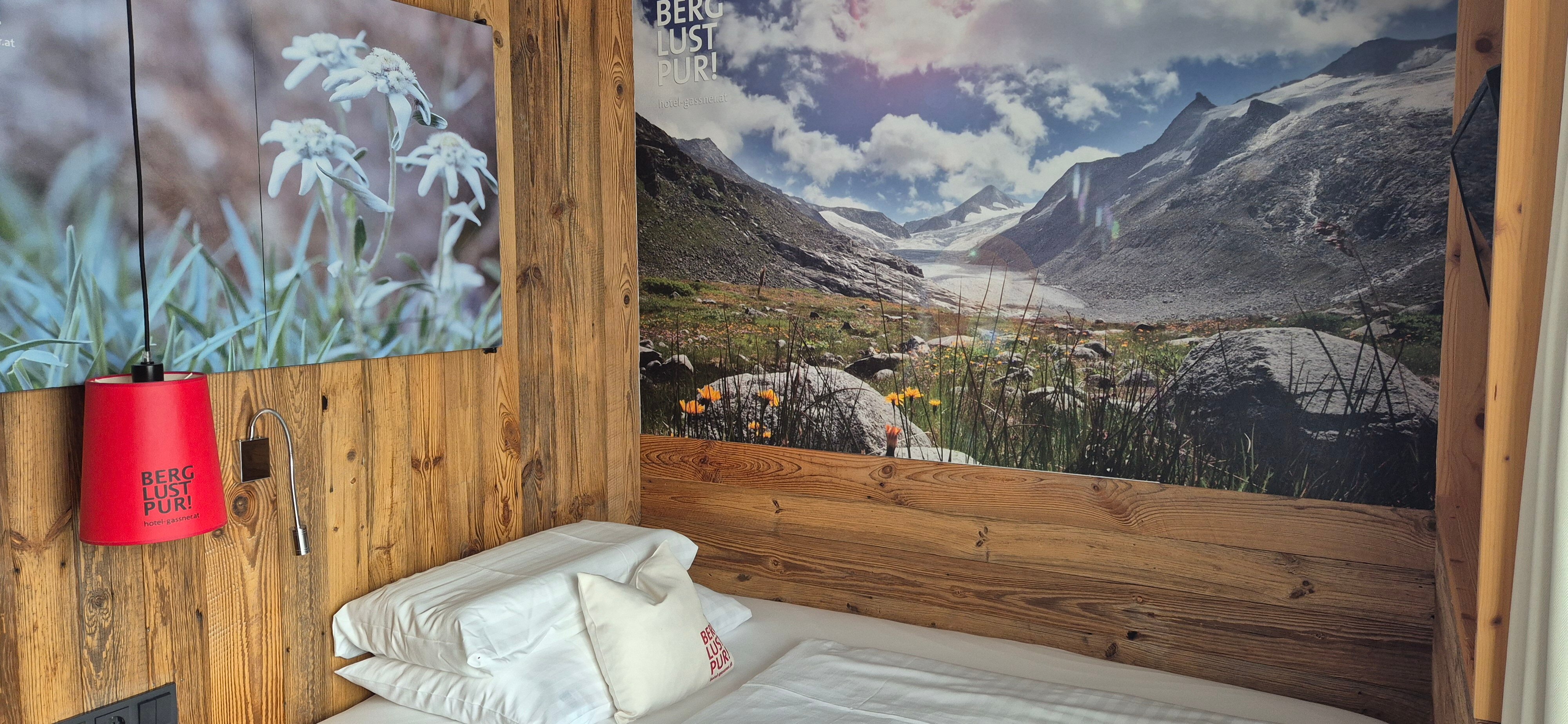 Wander- & Wellnesshotel Gassner-客卧