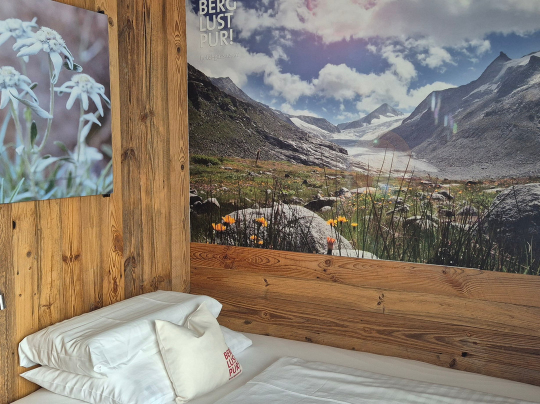 Wander- & Wellnesshotel Gassner主图