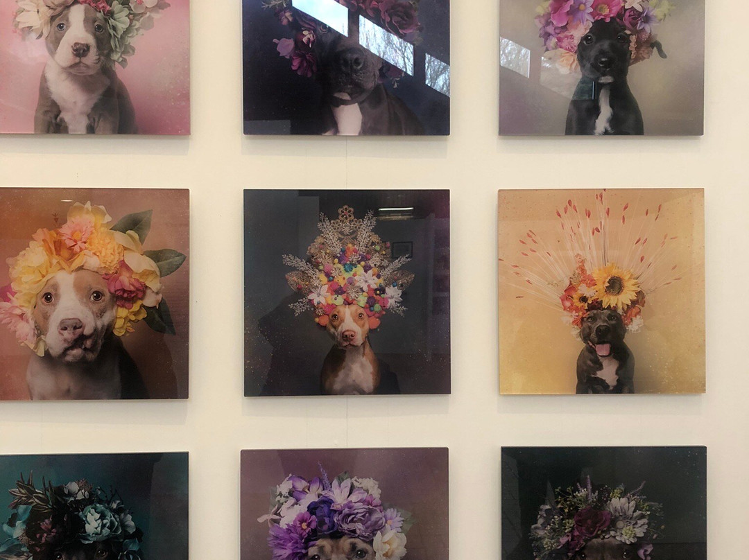 Kirkleatham Museum-Redcar必去景点