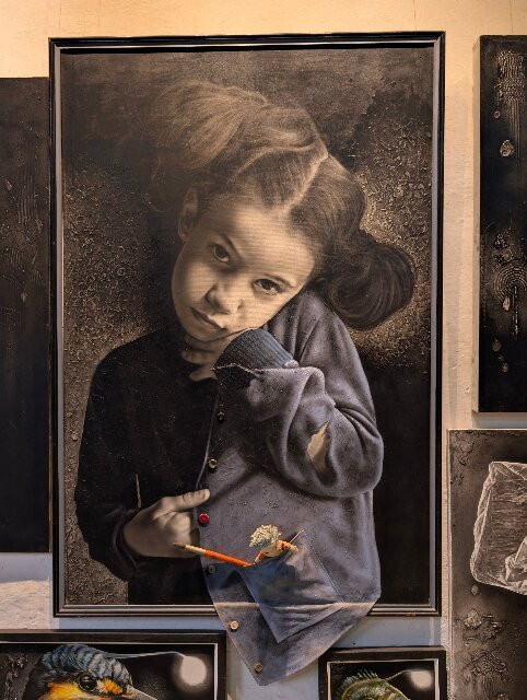 Galerie D'Art Calleyro景点图片
