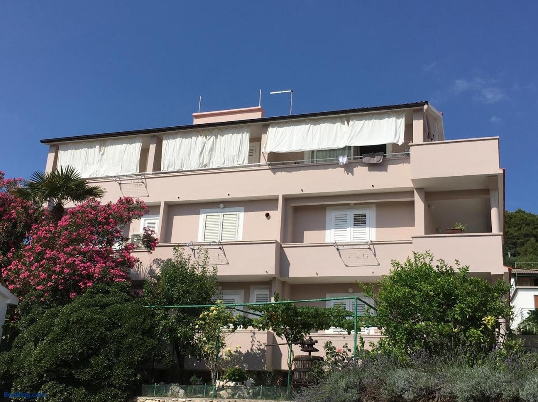 Apartmani Zorica