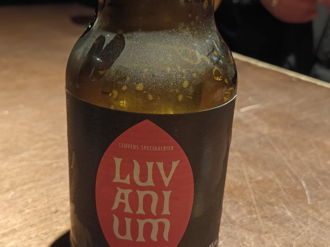 BeerWalk-鲁汶必去景点