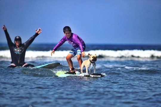 Gotʻum Surfing Llc-拉海纳必去景点