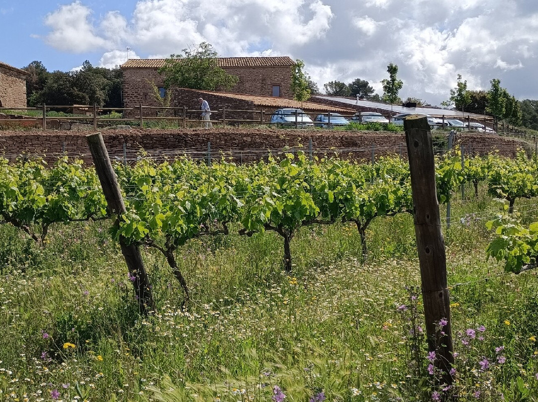 Celler Sant Miquel D'oló-Santa Maria d'Oló必去景点