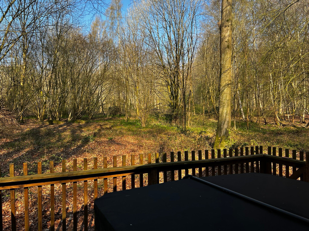 Blackwood Forest-温彻斯特必去景点