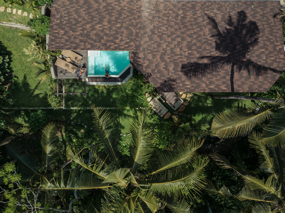 Casa Pohon Ubud主图