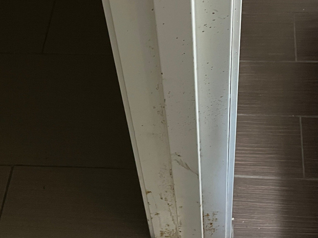 Comfort Suites Brunswick主图