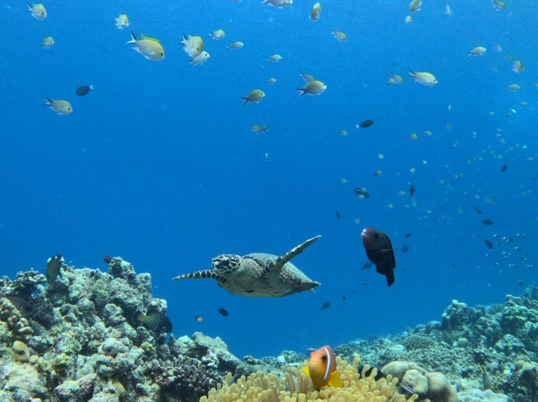 Ocean Mantra Retreats景点图片