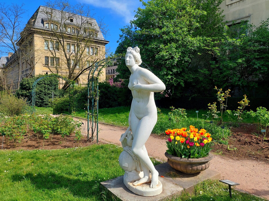 Statue Venus Genitrix景点图片