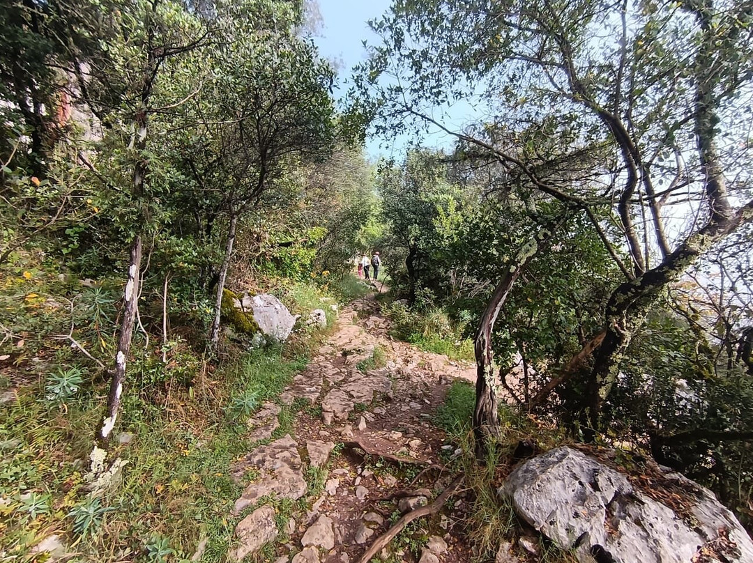 Bois de Païolive-Les Vans必去景点