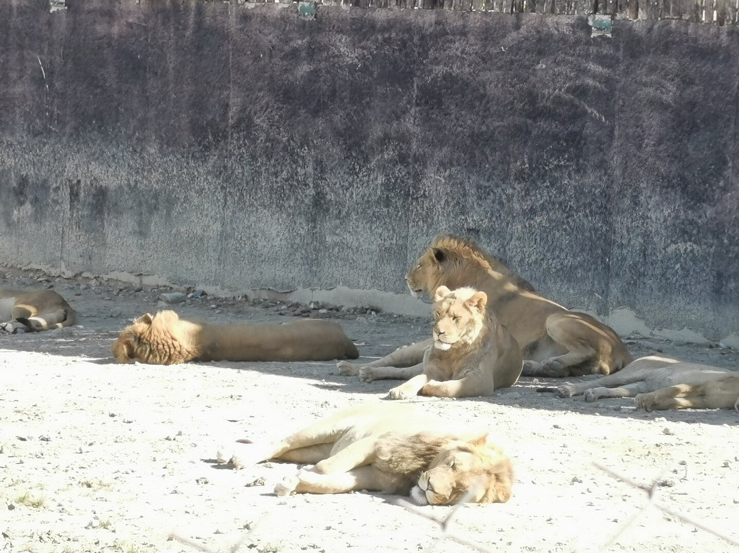 Berkem Aslan Diyari-Golbasi必去景点