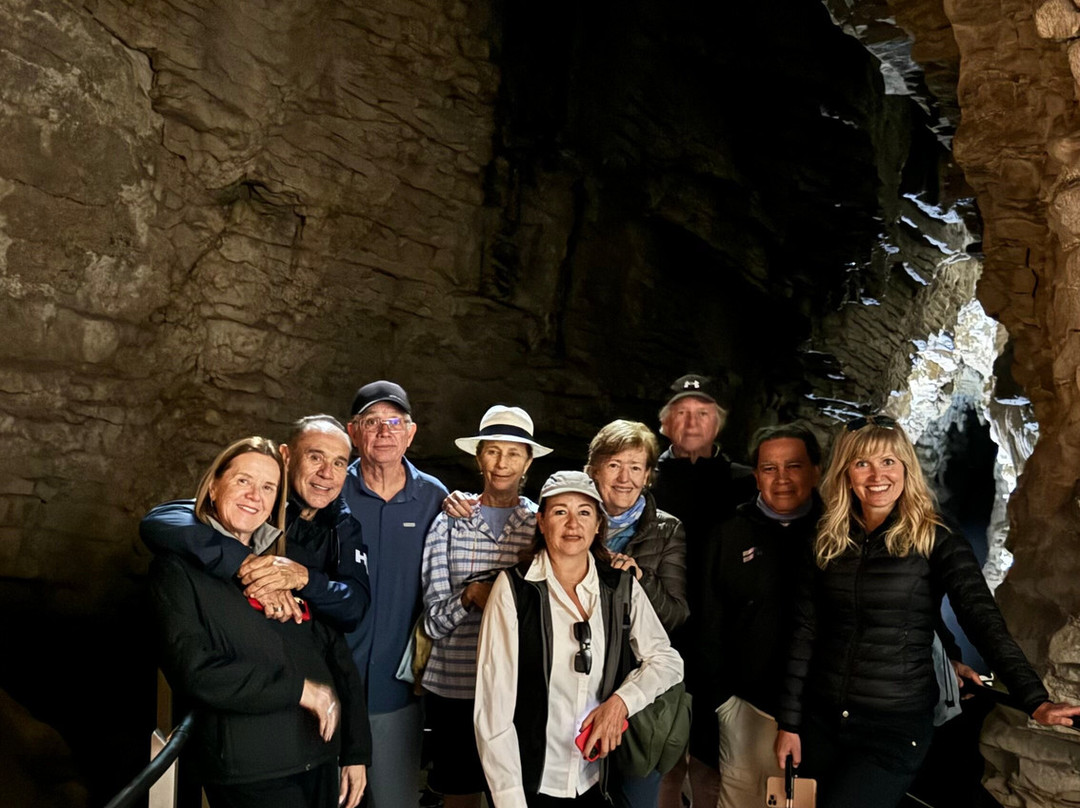 Aroha Luxury New Zealand Tours-Tokoroa必去景点