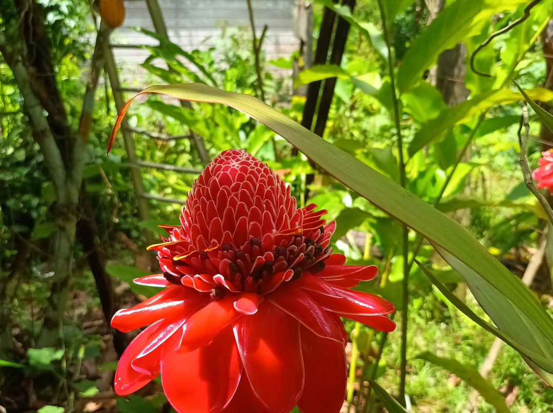 Ecomusee Creoleart de la Guadeloupe-Sainte Rose必去景点